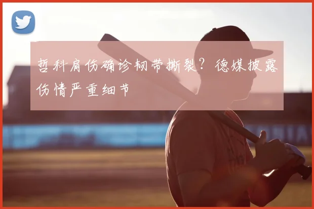 哲科肩伤确诊韧带撕裂？德媒披露伤情严重细节