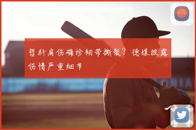 哲科肩伤确诊韧带撕裂？德媒披露伤情严重细节